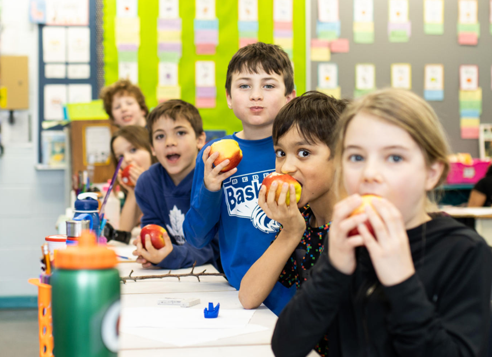 Children in a classroom having a snack of apples.
